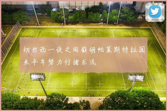 切尔西一夜之间截胡帕莱斯特拉国米半年努力付诸东流